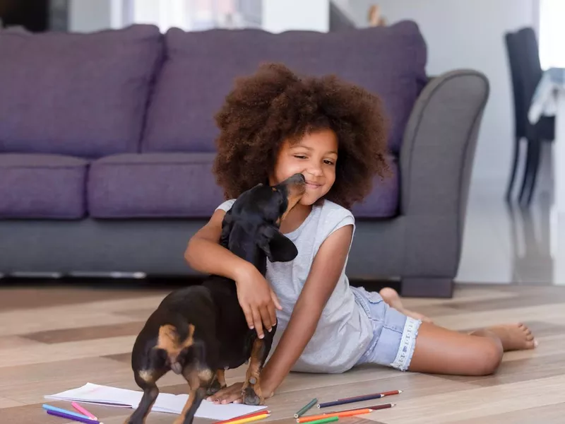 Another happy family with their dachshund